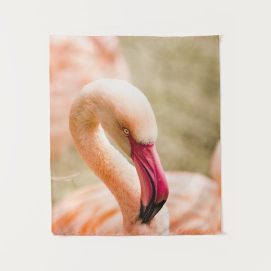 Tenture Un Beau Flamant rose Rose (Devant)