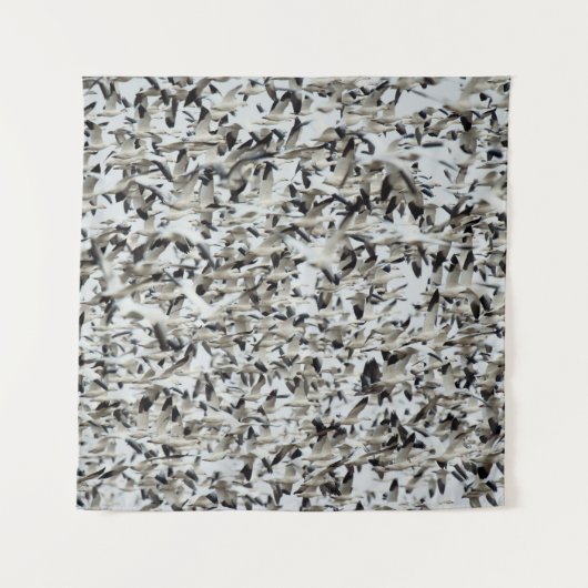 TENTURE UN ÉNORME FLOC DENSE D'OEUVRE DE NEIGE S'ENSEMBLE  (Devant)