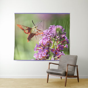 Tenture Un papillon de nuit sur un papillon