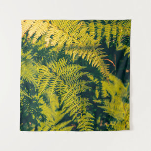 Tenture Un plante de fougères vertes avec des ombres. blan