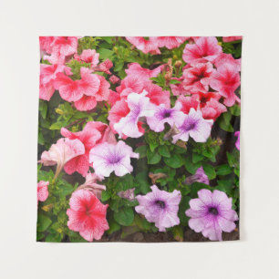 Tenture Une photo nature est une belle fleur de pétunia. P