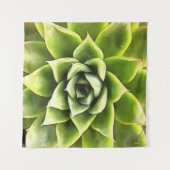 Tenture Vert Succulent Gros Plan Cactus (Devant (Horizontal))