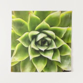 Tenture Vert Succulent Gros Plan Cactus (Devant)
