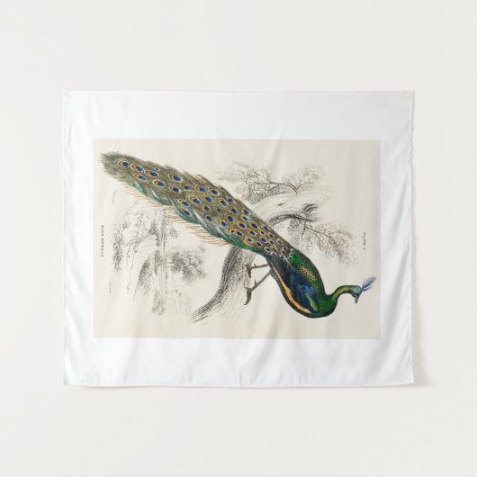 Tenture Vintage Peacock Histoire naturelle Imprimer (Devant (Horizontal))
