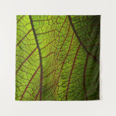 Tenture Vitres feuille de macro veines feuille vert (Devant (Horizontal))