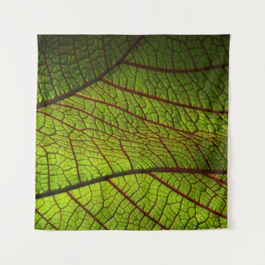 Tenture Vitres feuille de macro veines feuille vert (Devant)