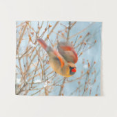 Tenture Vol Cardinal Nord - Photo originale (Devant (Horizontal))