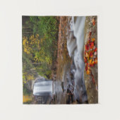 Tenture Vue Glass Falls Pisgah Forêt nationale (Devant)