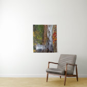 Tenture Vue Glass Falls Pisgah Forêt nationale (En situation)