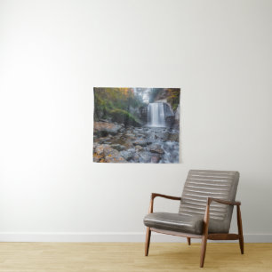 Tenture Waterfalls   Looking Glass Waterfalls