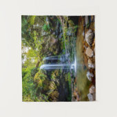 Tenture Waterfalls | Smokey Mountain National Park (Devant)