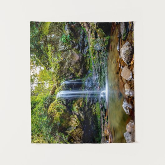 Tenture Waterfalls | Smokey Mountain National Park (Devant)