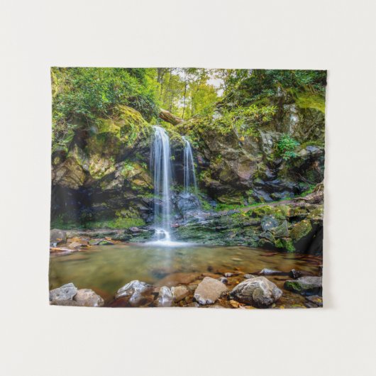 Tenture Waterfalls | Smokey Mountain National Park (Devant (Horizontal))