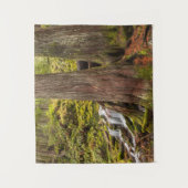 Tenture White Branch Falls, Oregon Cascades, Oregon (Devant)
