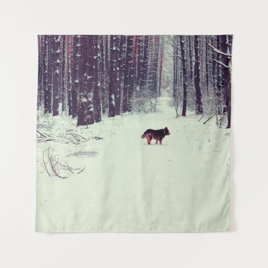 Tenture Winter snowy pine forest, dog walking in the fores (Devant)