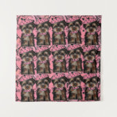 TENTURE YORKIE POO (Devant)