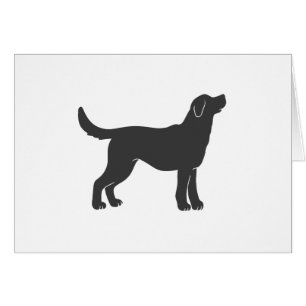 Tenue en silhouette pour chien - Choisir la couleu
