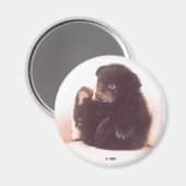 tepelmagneet magneet (Voorkant / Achterkant)