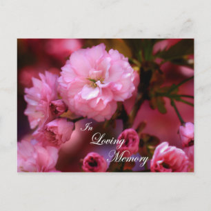 Ter liefdevolle herinnering Lente Roze Kersenbloes Briefkaart