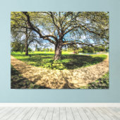 Ter nagedachtenis aan een Plane Tree, Godmancheste Canvas Afdruk (Insitu (Houten vloer))