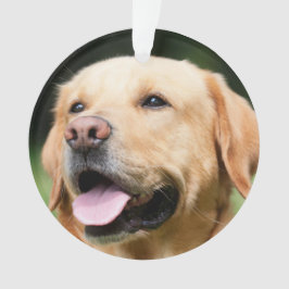 Ter nagedachtenis - Gouden Lab aanpasbaar herdenki Ornament