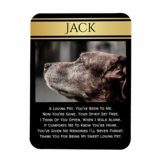 ter nagedachtenis van een verloren pakket magneet