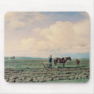 ter plaatse, 1872 muismat