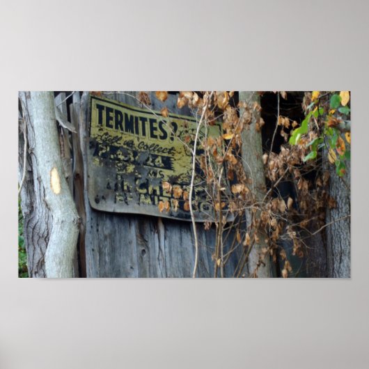 Termies? Poster (Voorkant)