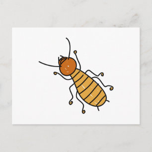 termiet briefkaart