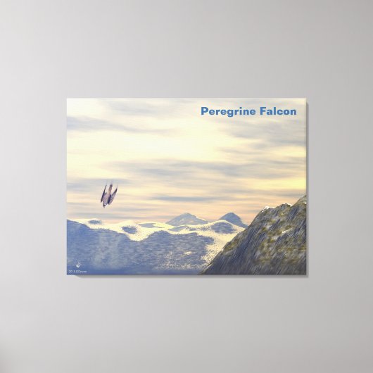Terminal Velocity Peregrine Falcon Canvas Afdruk (Voorkant)