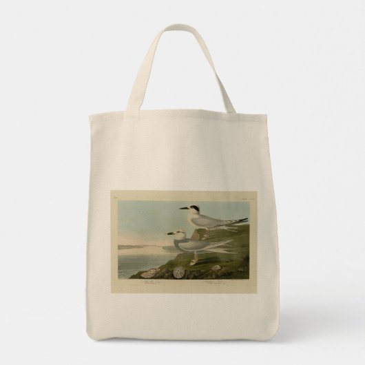 Tern Audubon Birds of America Tote Bag (Achterkant)