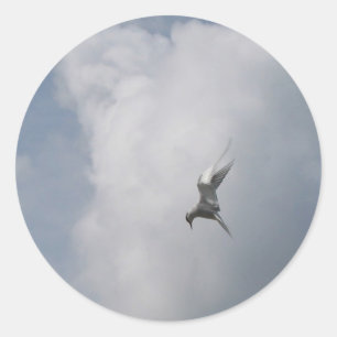 Tern in de Sky stickers