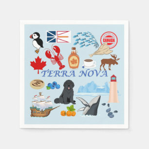 Terra Nova Newfoundland Servet