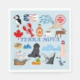 Terra Nova Newfoundland Servet