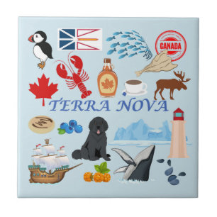 Terra Nova Newfoundland Tegeltje