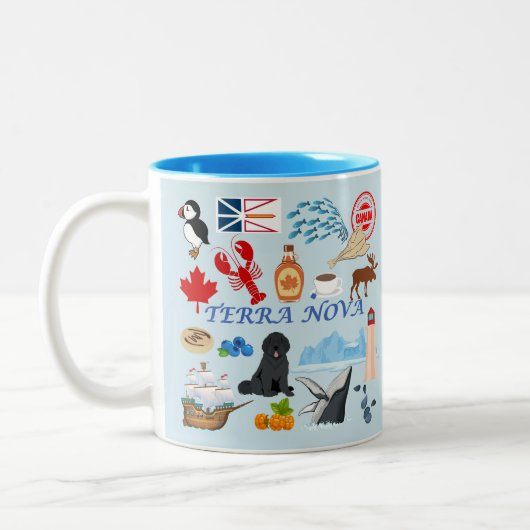 Terra Nova Newfoundland Tweekleurige Koffiemok (Links)