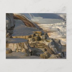 Terrace Mountain bij Mammoth Hot Springs Briefkaart
