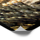 Terracotta Army, Qin Dynasty, 210 BC Poster (Hoek)