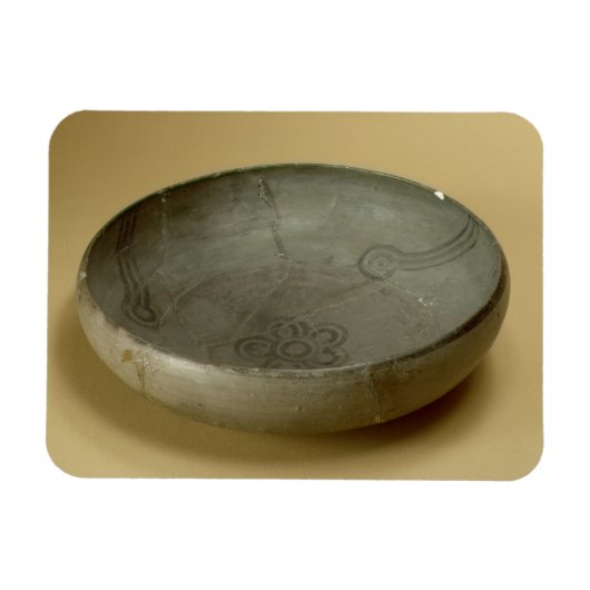 Terracotta geverfde grijze artikelen, Hastinapur, Magneet (Horizontaal)