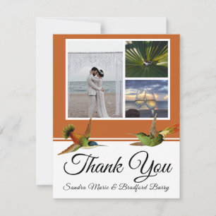 Terracotta kolibrie bruiloft foto collage bedankkaart