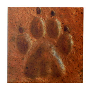 "Terracotta Paw Print" door Carter L. Shepard" Tegeltje