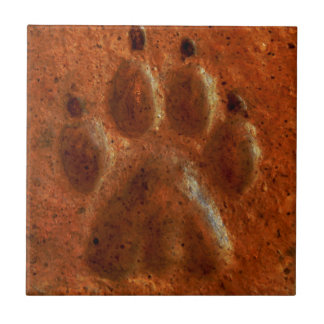 "Terracotta Paw Print" door Carter L. Shepard" Tegeltje
