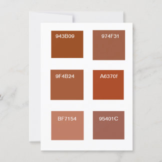 Terracotta Roest Kleur Swatches Kaart