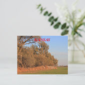 Terrain de blé Kansas avec arbres Carte postale (Debout devant)