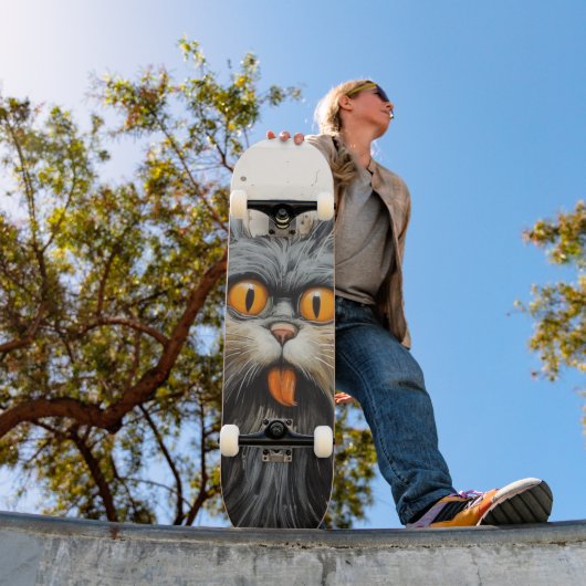 TERRAIN DE SKATEBOARD CHAT SCRUFFY (Extérieur 1)