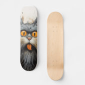 TERRAIN DE SKATEBOARD CHAT SCRUFFY (Recto)