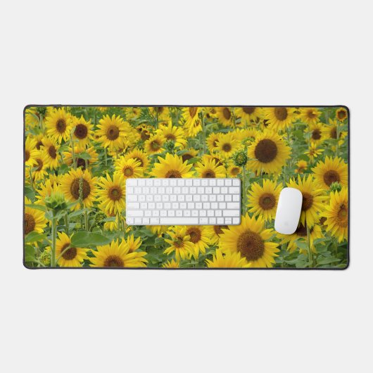 Terrain de tournesol jaune (Clavier et souris)