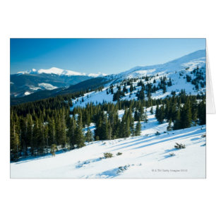 Terrain d'hiver 3