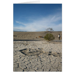 Terrain sec