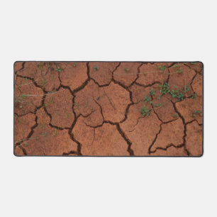 terrain sec et fissuré